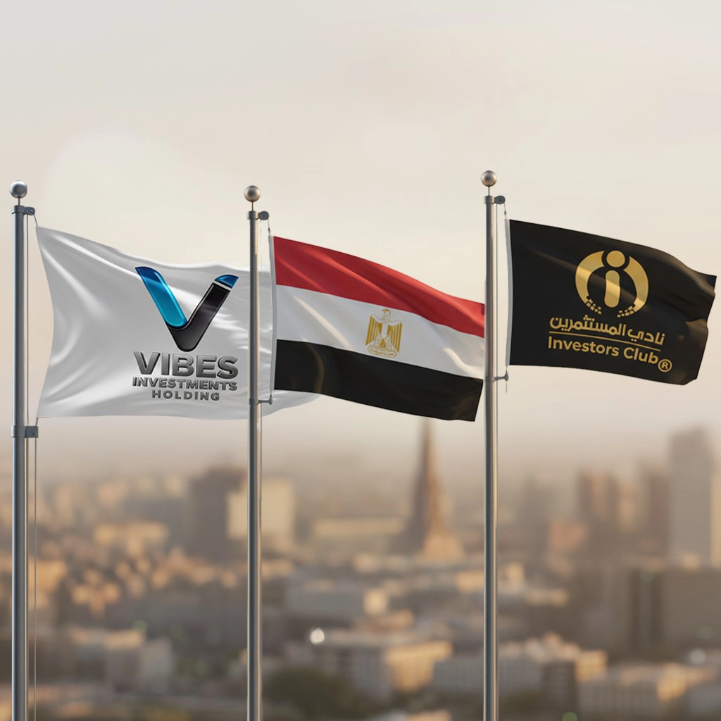 مصر ورؤية فايبز القابضة